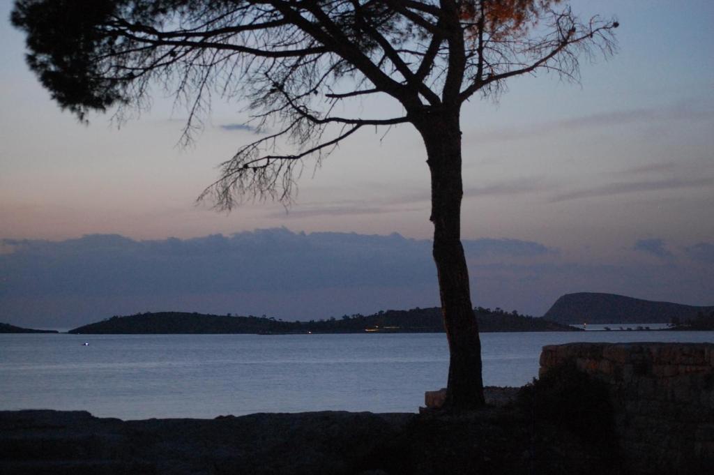 Villa Dedem Hotel Foça Exteriör bild